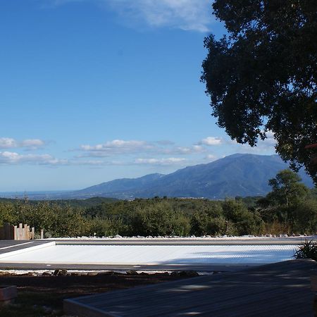 Mas La Marchette Bed and Breakfast Céret Esterno foto