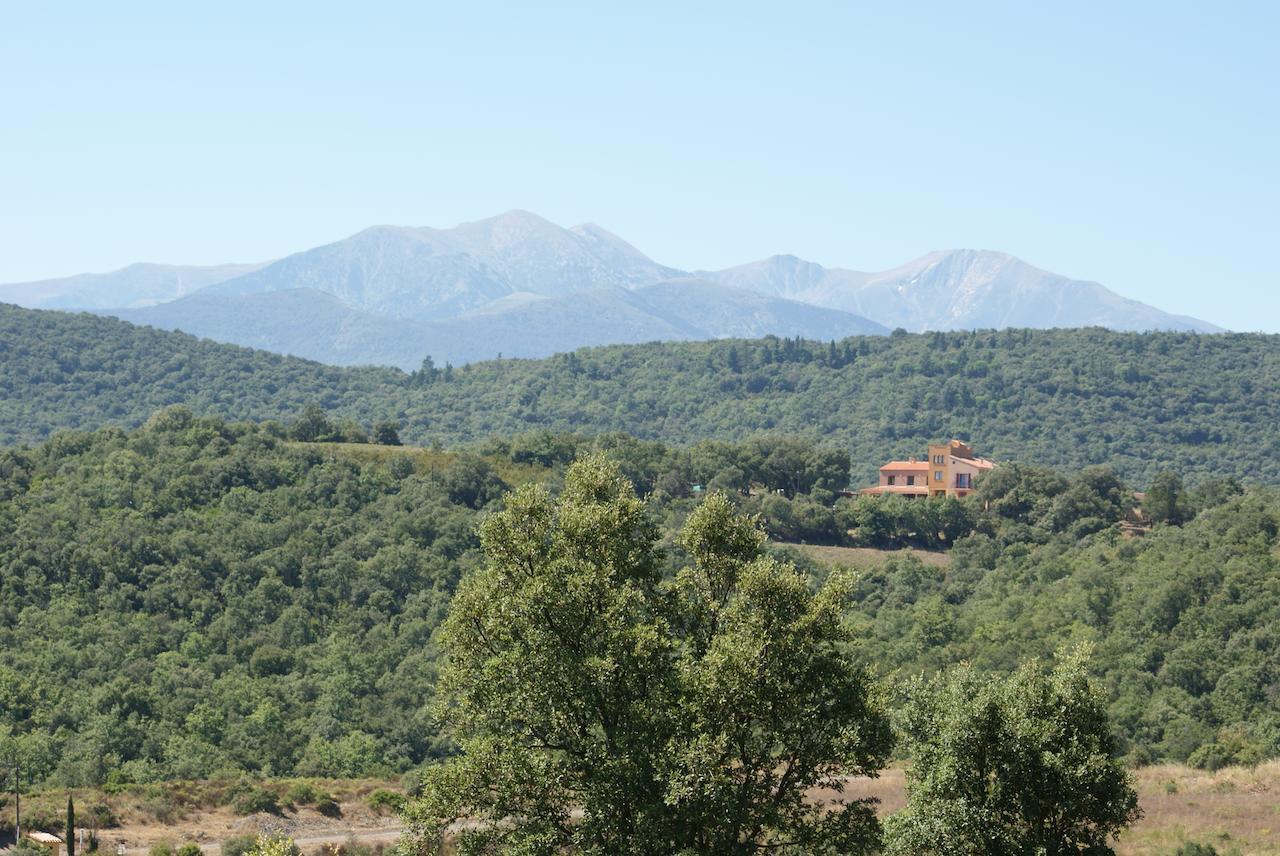 Mas La Marchette Bed and Breakfast Céret Esterno foto