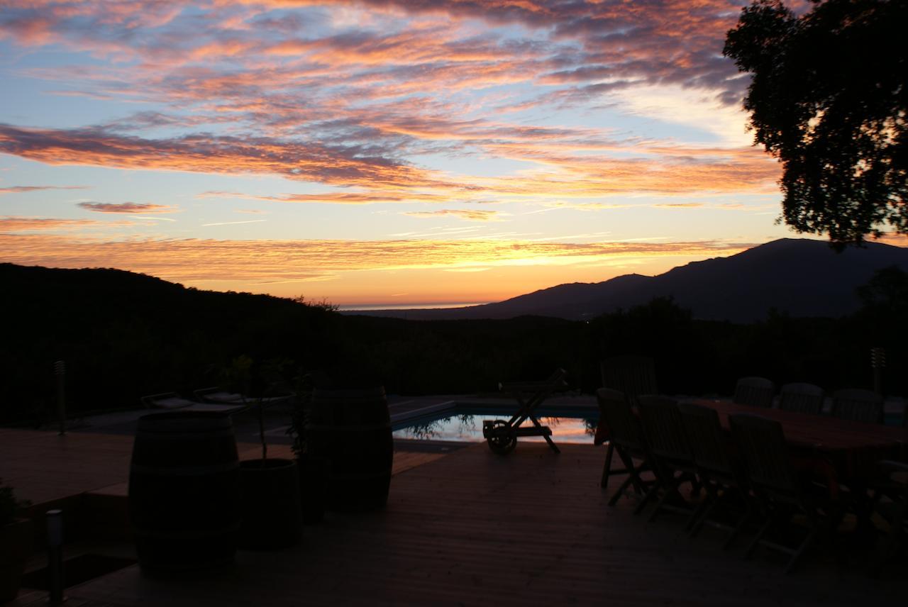 Mas La Marchette Bed and Breakfast Céret Esterno foto